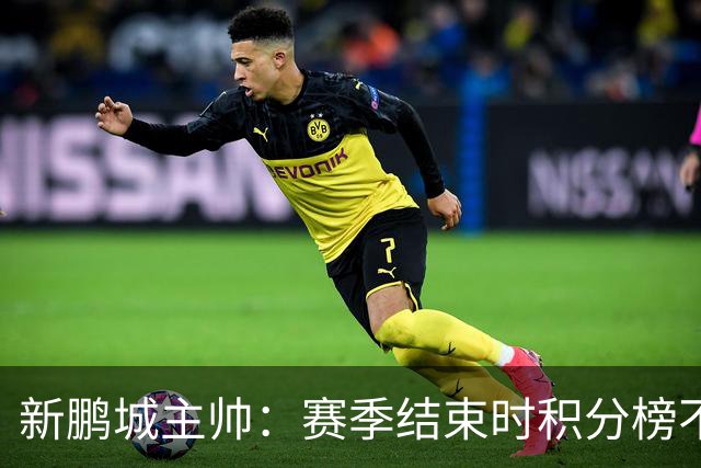 新鹏城主帅：赛季结束时积分榜不会撒谎，会展现我们在中超的水平
